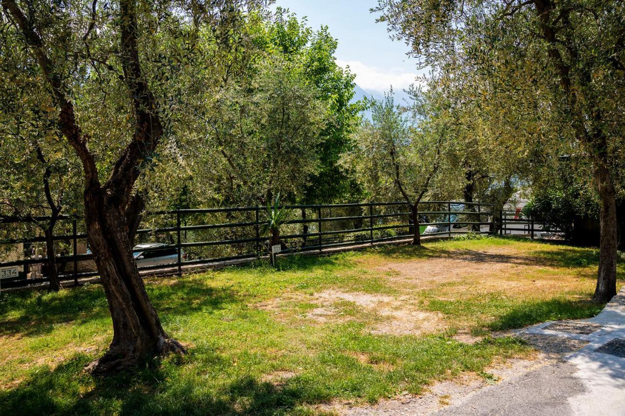 Park Garda